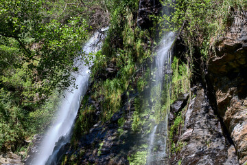 Río con cascada en un exhuberante bosque