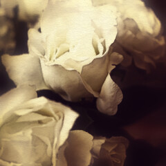 Obraz premium art floral vintage colorful background