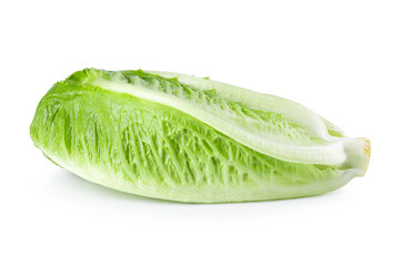 Cos lettuce isolated on a white background