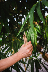 Reusable Bamboo drinking straw in man hands on bamboo background. Zero waste concept