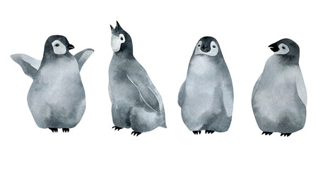 Watercolor poster with baby Emperor penguin. Wild northern Antarctic animals. Cute grey bird.