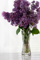 pear lemonade and lilac on a white background