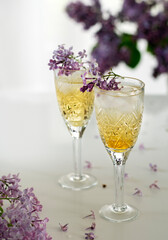 pear lemonade and lilac on a white background