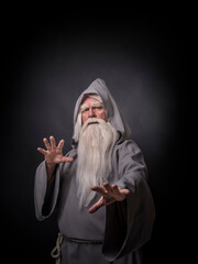 Portrait of a manly and brutal, majestic, old man, sorcerer, wizard with gray hair and a beard with a mustache, in gray clothes, a canopy and tunic