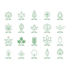 collection of leaf icons