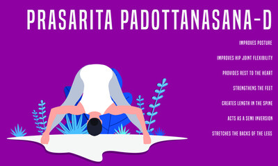Prasarita Padottanasana D. Yoga Fitness Concept. Illustration Of Woman doing yoga. 