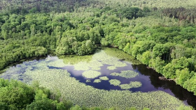 survol de la for&ecirc;t de Rambouillet pr&egrave;s de Versailles (France)