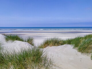 Fototapeta na wymiar Plage du nord de la France. Dune de sable et herbe sauvage.