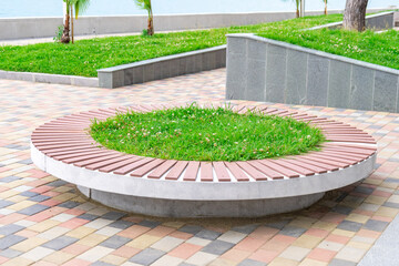 Obraz premium Round benches for rest on the coast of black sea, Kobuleti