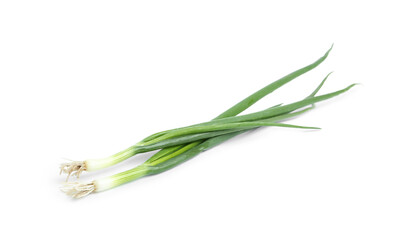 Obraz na płótnie Canvas Fresh green spring onions isolated on white