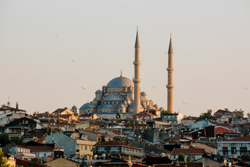 Fototapeta na wymiar Blue Mosque or Sultanahmet Camii in Istanbul, Turkey. Scenic view of the beautiful Blue Mosque in summer. Nice panorama of the famous historical mosque in the old center of Istanbul.