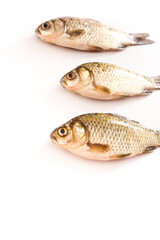 Fresh ingredients crucian carp