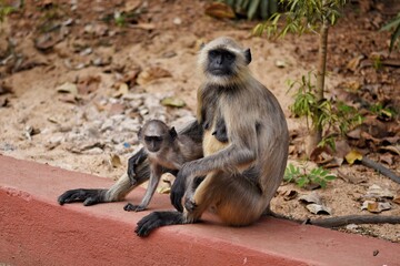 mother and baby
