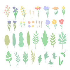 Set of flowers, leaves and twigs.