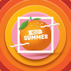 Vector Hello Summer label or flyer Design template with fresh orange fruit isolated on abstract background. Hello summer concept label or poster with fruit and letternig text