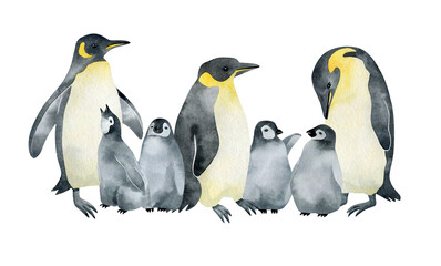 Fototapeta na wymiar Watercolor Emperor penguin family. Wild northern Antarctic animals. Cute grey bird.
