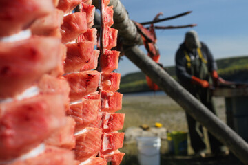 Yukon Territory, Alaska. Salmon fish drying on a fish rack and fisherman cleaning more fish on a...