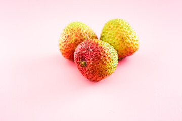 living lychee