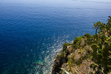 View of Mediterranean Sea on a Sunny Day, Cinque Terre