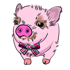 Vector illustration of hand drawn cute farm animal. Sketch. Doodles. Black outline. Colorful. Little pig. Piglet with a bow on its neck. For kids.