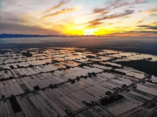 Aerial view over the paddy field during sunrise