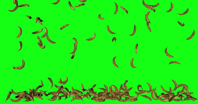 Green screen fruit bananas falling stacked animation chroma key 3d