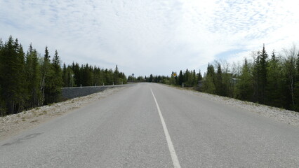 Obraz premium paved road with markings in the forest