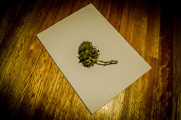 cogollo o flor de cannabis sobre folio blanco y madera