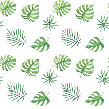 Seamless pattern with tropical leaves. Hand Drawn Watercolor. © Ekaterina