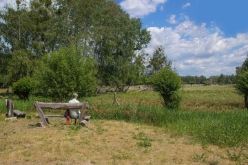 A resting place with view to the wilderness in Nuthe-Nieplitz Nature Park in federal state...