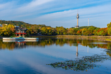 83 Tower behind an artificial lake in Daegu, Republic of Korea