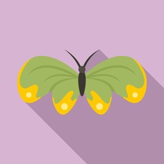 Butterfly icon. Flat illustration of butterfly vector icon for web design