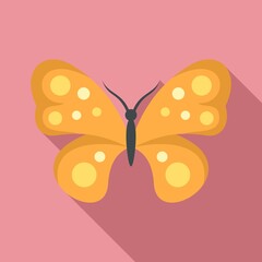 Bright butterfly icon. Flat illustration of bright butterfly vector icon for web design