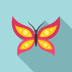 Insect butterfly icon. Flat illustration of insect butterfly vector icon for web design