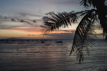 Palmen am Strand im Abendrot Thailand