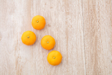 木の上にバラバラにオレンジがのっている　orange デザイン　フルーツ　かわいい