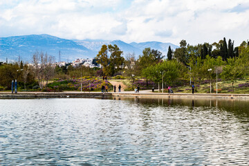 The beautiful lake of Tritsis park.