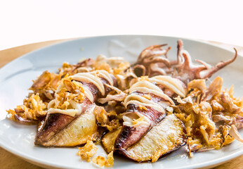 Fried  squid with garlic in plate , in door  Chiangmai Thailand