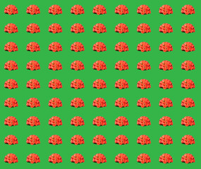 A bouquet of orange roses on a green background. Pattern.