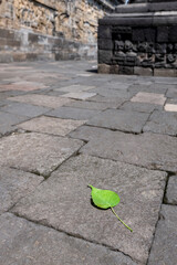 Borobudur Temple, UNESCO World Heritage in Central Java, Indonesia (750AD)