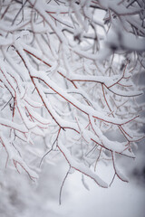 Beautiful winter views in mountains. Still life photography shoots.