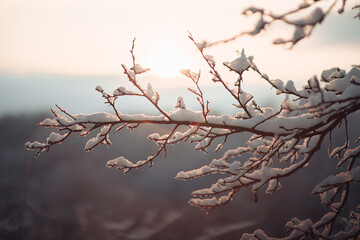 Beautiful winter views in mountains. Still life photography shoots.