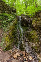 Scenic View Of Waterfall In Forest On Summer Day