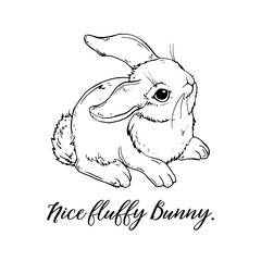 Vector Graphic of a Cute fluffy Bunny. Rabbit,