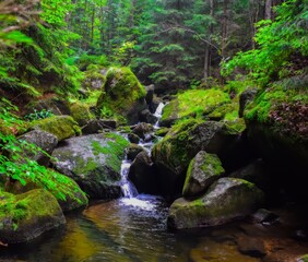waterfall in the forest
