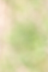 green bokeh abstract background