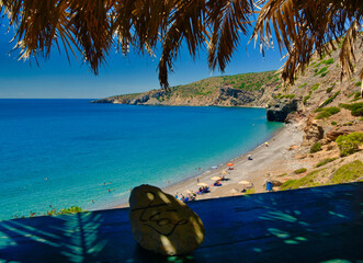 tropical beach
