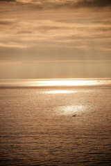 Japan - Chiba prefecture : View Of Itou Sea At Sunset