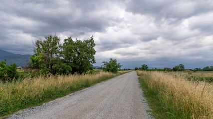 Fototapeta na wymiar A deserted dirt road in the Tuscan countryside against a dark sky full of clouds, Bientina, Italy