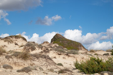 Landscape view of the Tarantina coast in Puglia-Italy, wild dunes with bushes of Mediterranean scrub.
